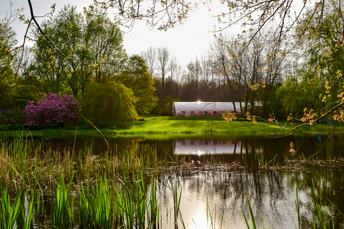 From Native Exotics to Florae Collaborative. Check out our new, state of the art, geothermal powered greenhouse.