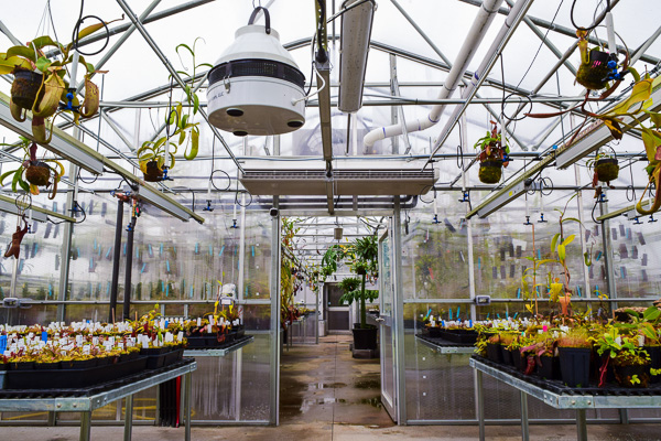 Automated watering systems at Florae include misting and irrigation.